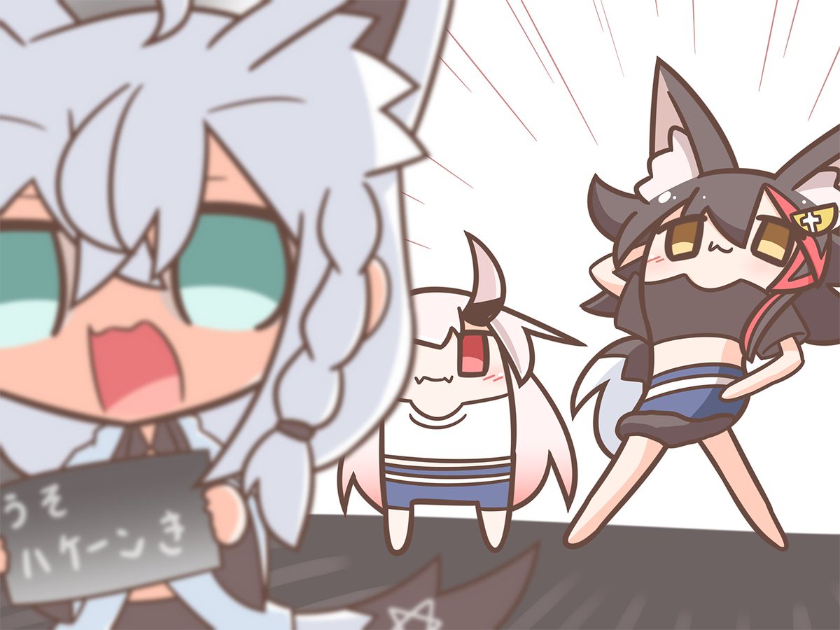 笠猫 tweet media