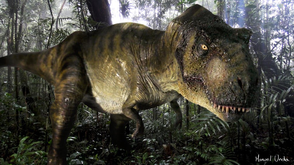 🦖Tyrannosaurus Rex🦖 (👑King Tyrant) ♂ tweet media