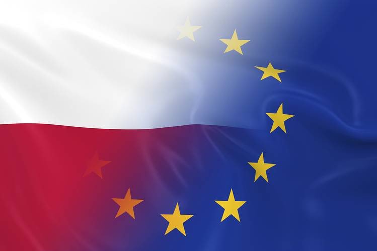 Péonia tweet media