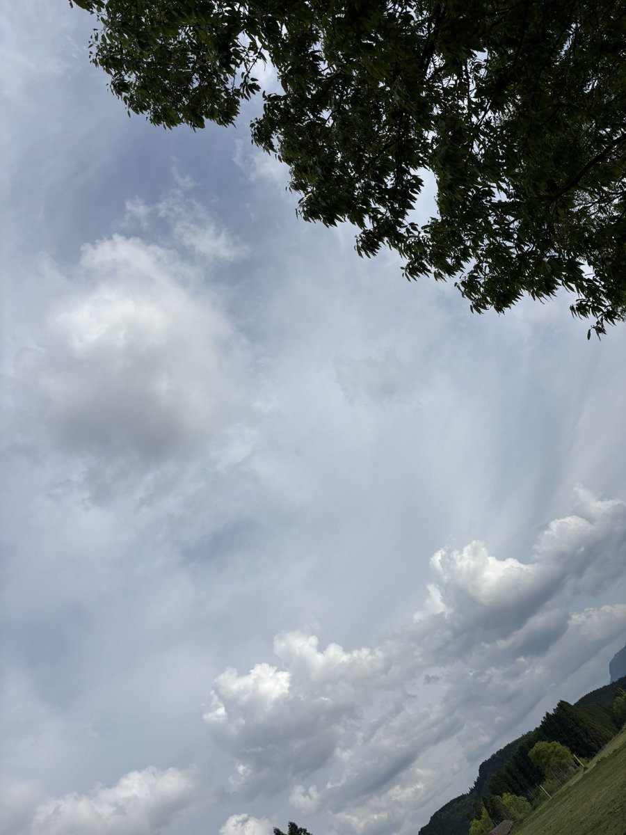 Mm8Wb's tweet photo. え？今からですか？

今日は有休でソロキャンプにきてますので、
会議には出れませーん笑 https://t.co/o4OmsuwDK1