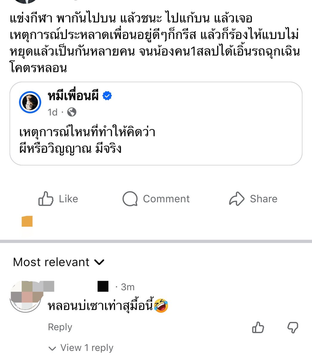 qan🐷 tweet media