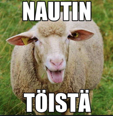 maxihegu's tweet photo. @DuelPosts Ossi anna töitä haluun TÖIHIN https://t.co/By8yX2WDGY
