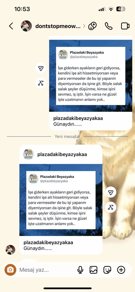 _nefarkeder__'s tweet photo. Kanka biz biraz şeyiz 🤏 @umuthanmvekole https://t.co/7B1cdwUFdH