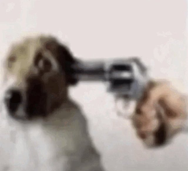 Rewrite Sonic 🦔⭕️ tweet media
