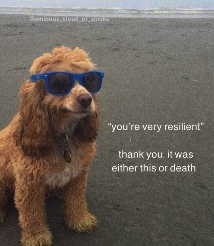 Dog (@DoggyPosting) on X