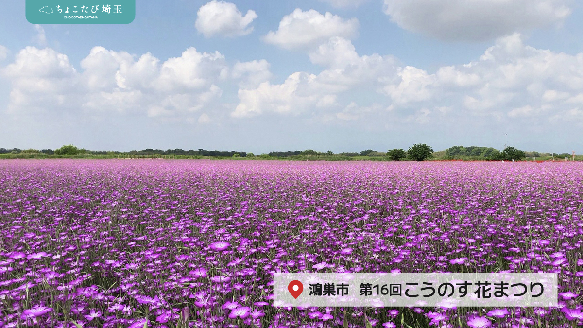 #埼玉の花イベント

５月に埼玉で開催される
おすすめお花イベントをまとめました！

初夏のおでかけにぴったり🎶
今だけの景色を楽しみに出かけませんか？
