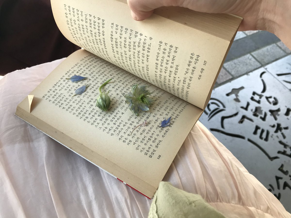 sincere1ytrue's tweet photo. 살구꽃 치마를 입고.. 🕊️ https://t.co/TL02J3rQLm