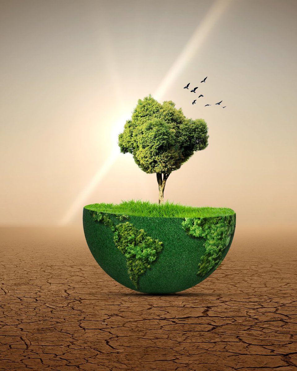 European Research Council (ERC) tweet media