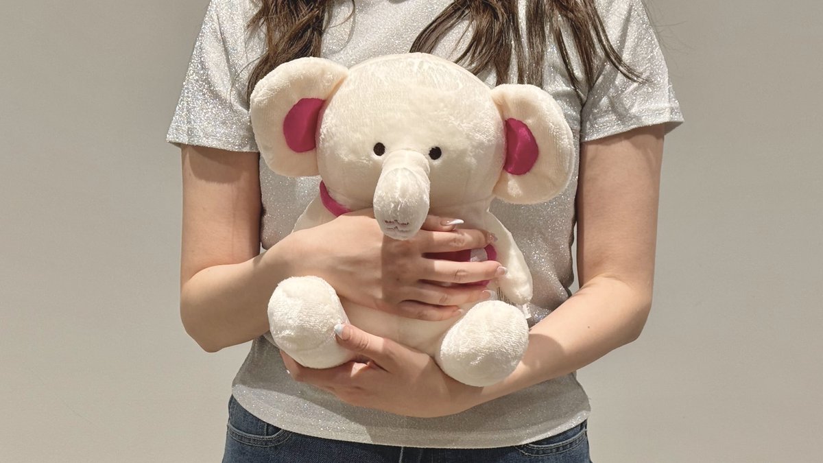 DAISO 【公式】 tweet media