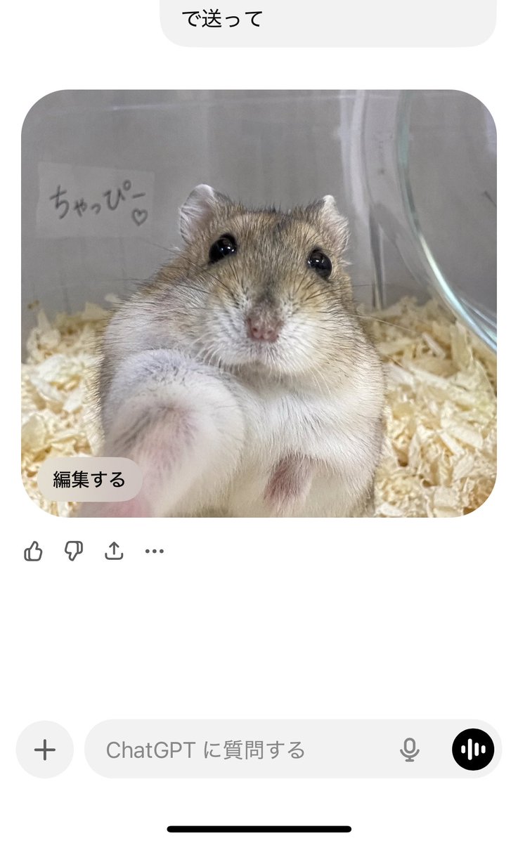 はむちゃん シールちょう ハムちゃんズ 317613