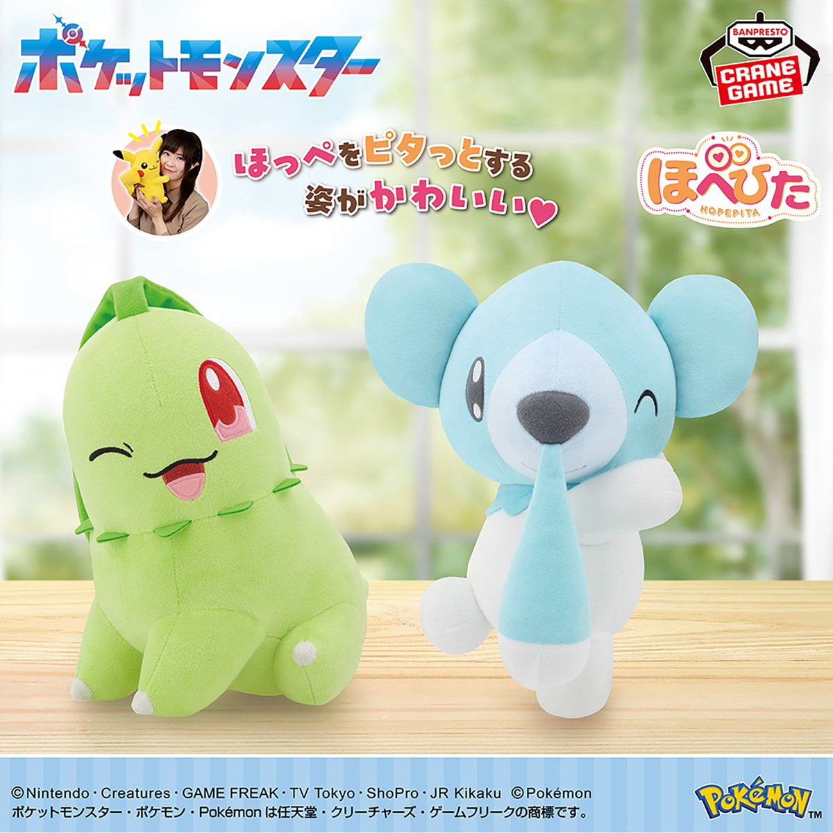 ちこりーた チコリータ