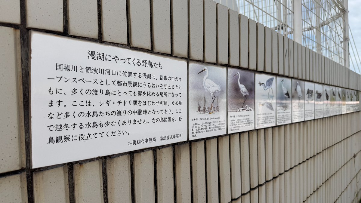 ジョー🏨半ホテル暮らし（現在投稿時差約4ヶ月😅） tweet media