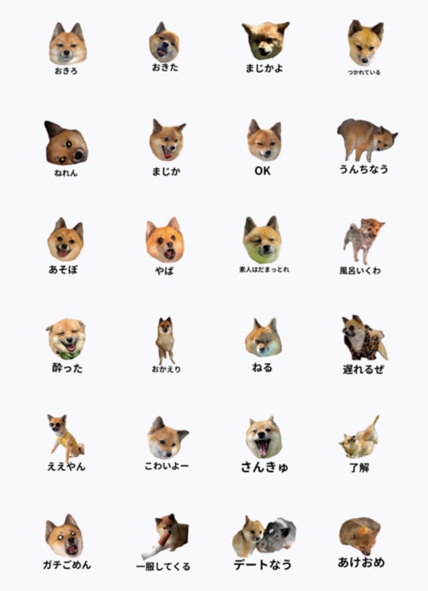 ちび tweet media