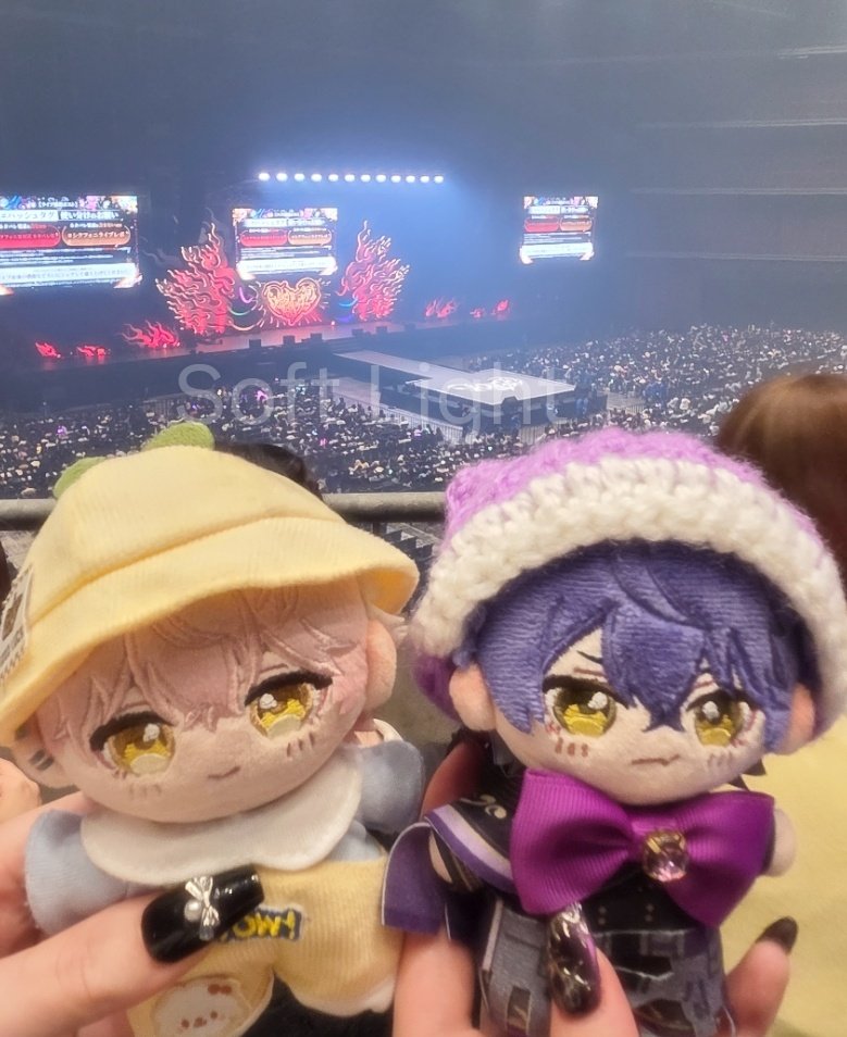 ぽてと鵜倭唖👑 tweet media