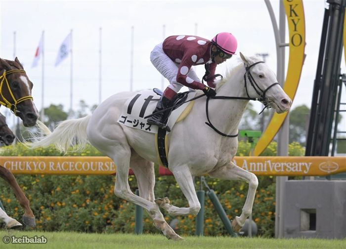 土曜の京都4R・3歳未勝利ではゴールドシップ産駒の白毛馬