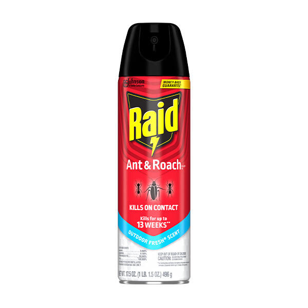 TrashTalk_fr's tweet photo. Mdr un fan des Spurs est venu à la salle avec une pancarte "RAID" (le produit anti insecte) pour chambrer Anthony Edwards (Ant-Man).

Note en trashtalking : 17/20. 

Même Anti valide. 😂😂

https://t.co/zixXESGM6F https://t.co/Gtc81qHtBf