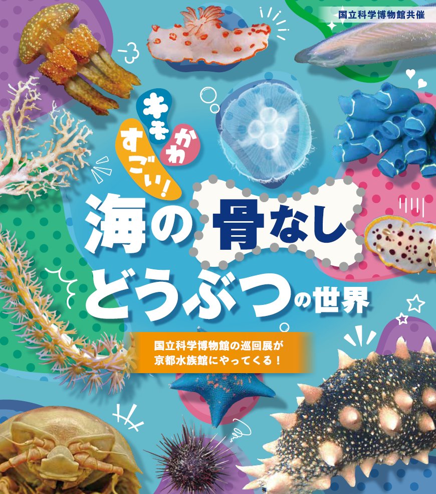 Kyoto_Aquarium's tweet photo. 🪼キモかわすごい！海の骨なしどうぶつの世界🪼開催

国立科学博物館の巡回展が京都水族館にやってくる！
「骨なしどうぶつ」の不思議な生態を紹介します！📣

期間：5月11日（月）～6月14日（日）
場所：京都水族館　2階「ミテッテ」エリア
詳細▼
https://t.co/kp3iSIyHsg https://t.co/vLvJKswLFV