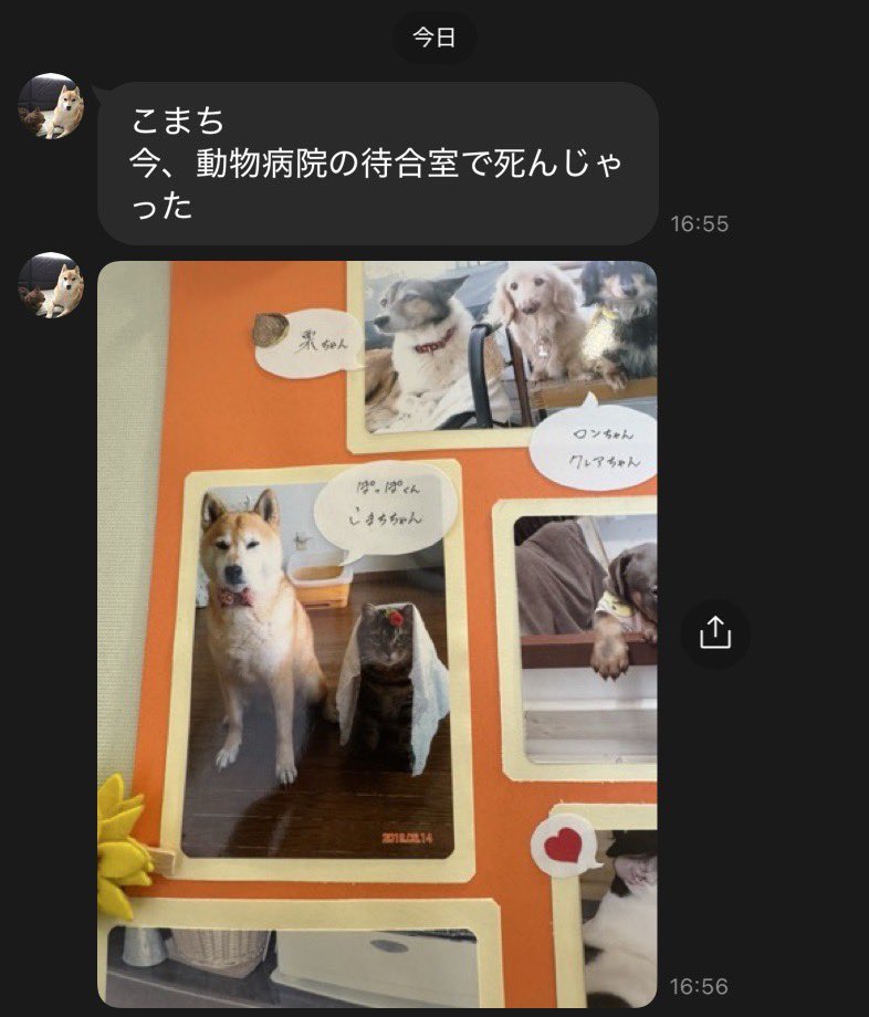 だーくねす@船長 tweet media