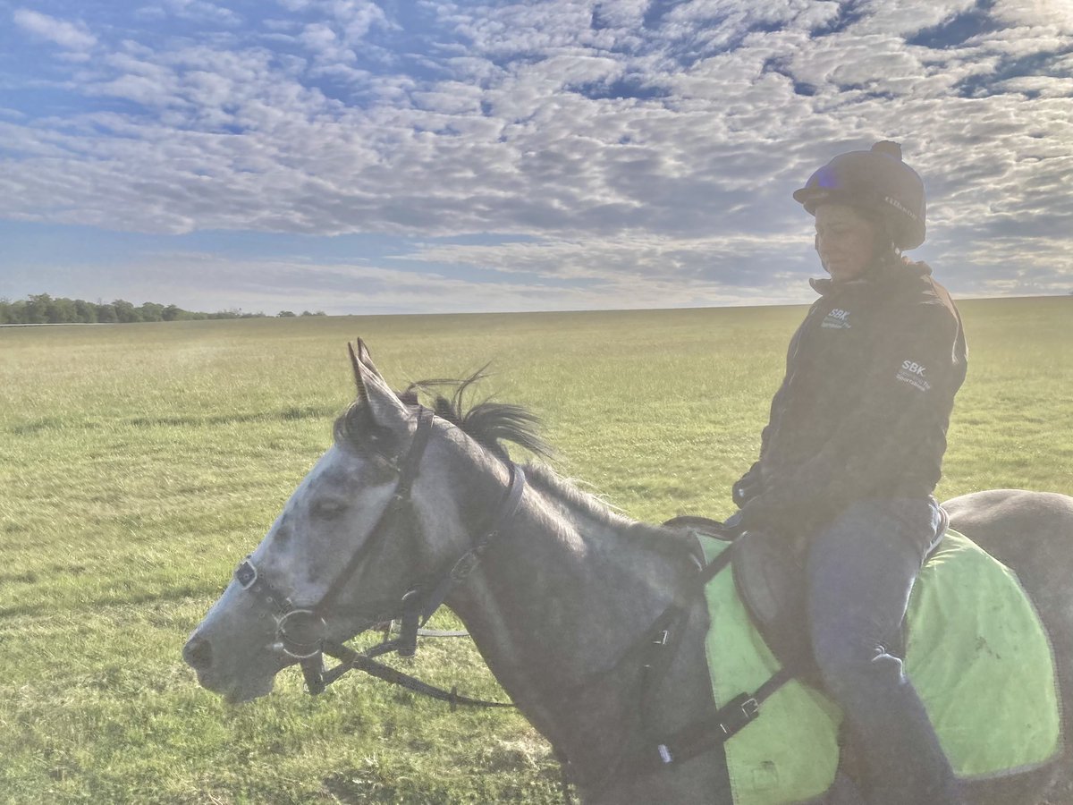 JohnWathenBerry's tweet photo. A much nicer day than yesterday in Newmarket. 6 degrees at daybreak but felt much less cold than yesterday as we’ve lost the north wind & gained some sunshine. Forecast high 14 #SanoCity #DoubleMeaning #CloudyRose #Clasina #FlyingStar https://t.co/CbW5MB7W8c