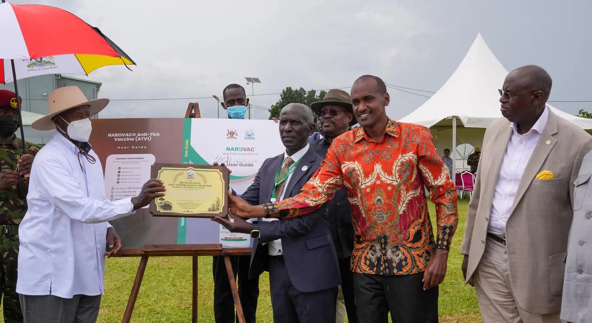 ASARECA's tweet photo. Uganda’s National Agricultural Research Organization (NARO) has launched Uganda’s first locally developed anti-tick vaccine, marking a major milestone in combating tick-borne diseases on the African Continent. https://t.co/UvYkX3Gd6Q https://t.co/2jJBfKuFUh