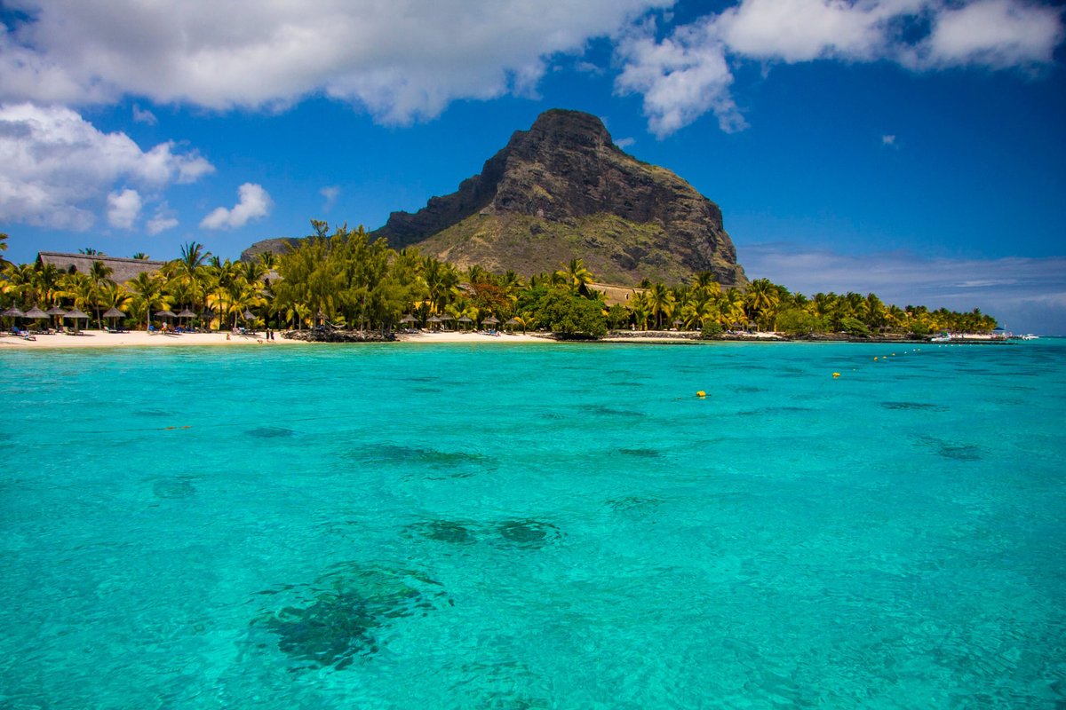 Mauritius Island tweet media