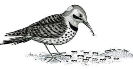 GustavoAdolf_'s tweet photo. "Cuando el pájaro está vivo, come hormigas. Cuando el pájaro está muerto, las hormigas se comen al pájaro. El tiempo y las circunstancias pueden cambiar en cualquier momento. No devalúes o lastimes a nadie en la vida. Podrás ser poderoso hoy pero recuerda, el tiempo es más poderoso que tú.  Un árbol hace un millón de fósforos. Sólo un fósforo se necesita para quemar un millón de árboles."