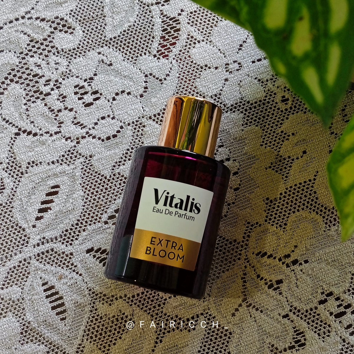 fairicch_'s tweet photo. LOWKEY ADDICTED TO THIS SCENT 🫠🫰

buat kalian yg lagi nyari parfum floral seger kayak abis mandi, wajib bgt kepoin ini sih! wanginya feminim bgt ✨

#honestreviewbyra https://t.co/jSId6W3Wfp
