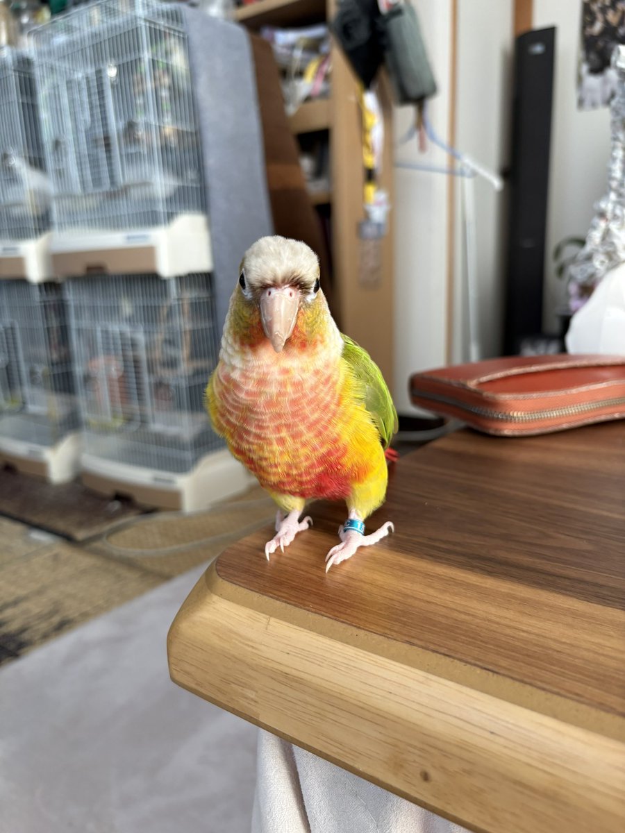 あっちゃん様確認ページ あっちゃん