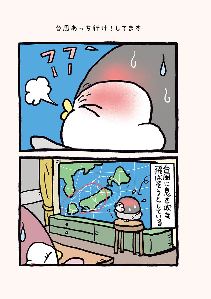 優しいペンギン親子たちの、世界一の花火大会。 (3/7) 