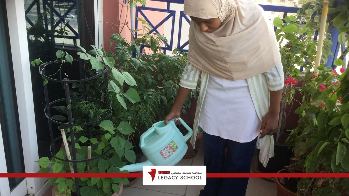 GEMSGLS's tweet photo. Together for Earth 🌿 GLS students nurture nature with care and responsibility, growing hope for a more sustainable future.
#GEMSLegacySchool #GEMSEducation #KHDA https://t.co/bHFAgPZwGk