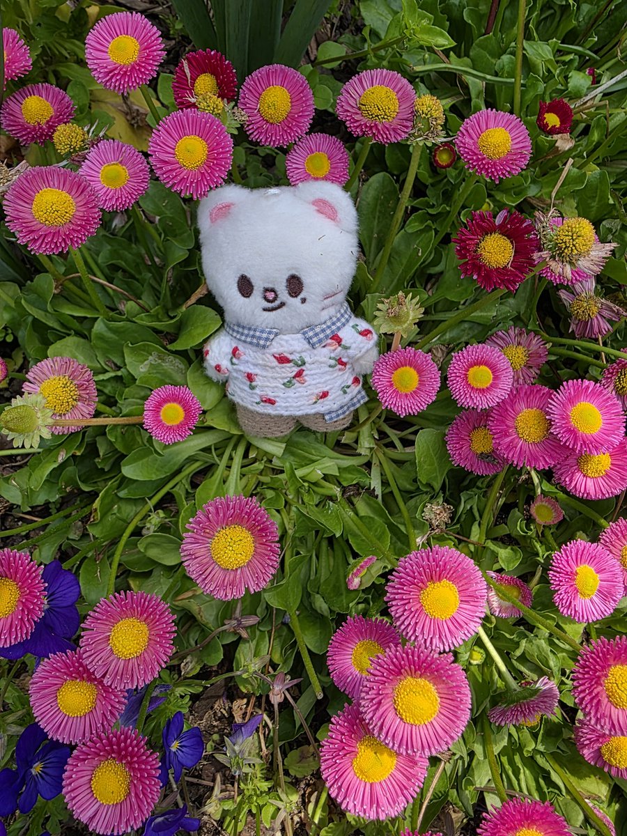 꽃나들이⚘️🪻🌷🌼🍀☘️🌾