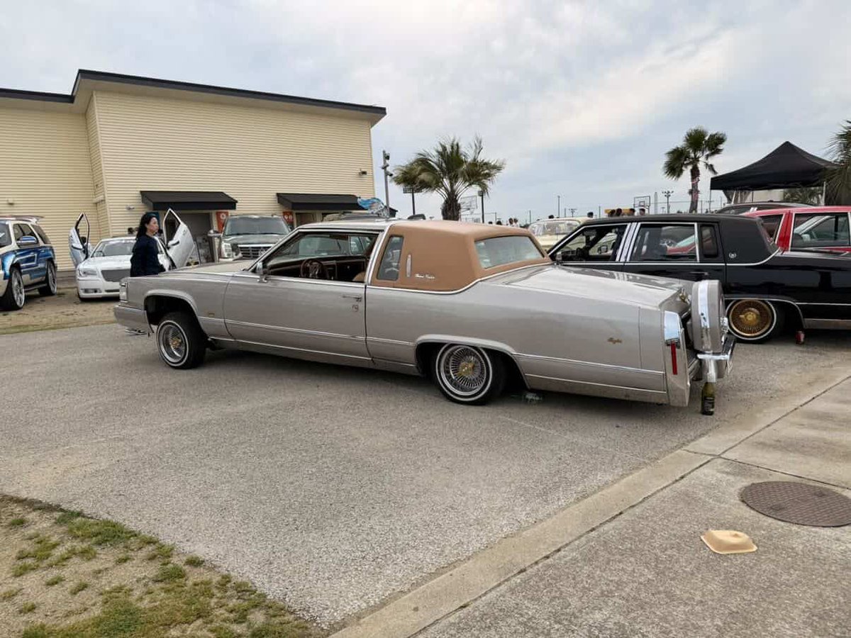 lux4lux1999's tweet photo. 代理　For sale
#ブロアム
#ローライダー
#車売ります
1985 Cadillac Broupham Coupe
フル92 5.7L

詳細DMでおねがいします！ https://t.co/xUIMNGweMZ