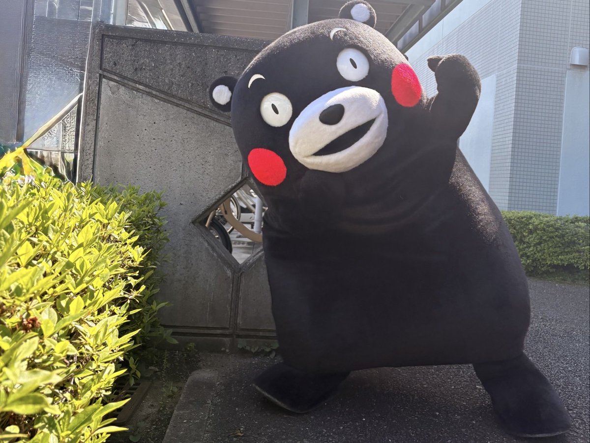 くまモン【公式】 tweet media