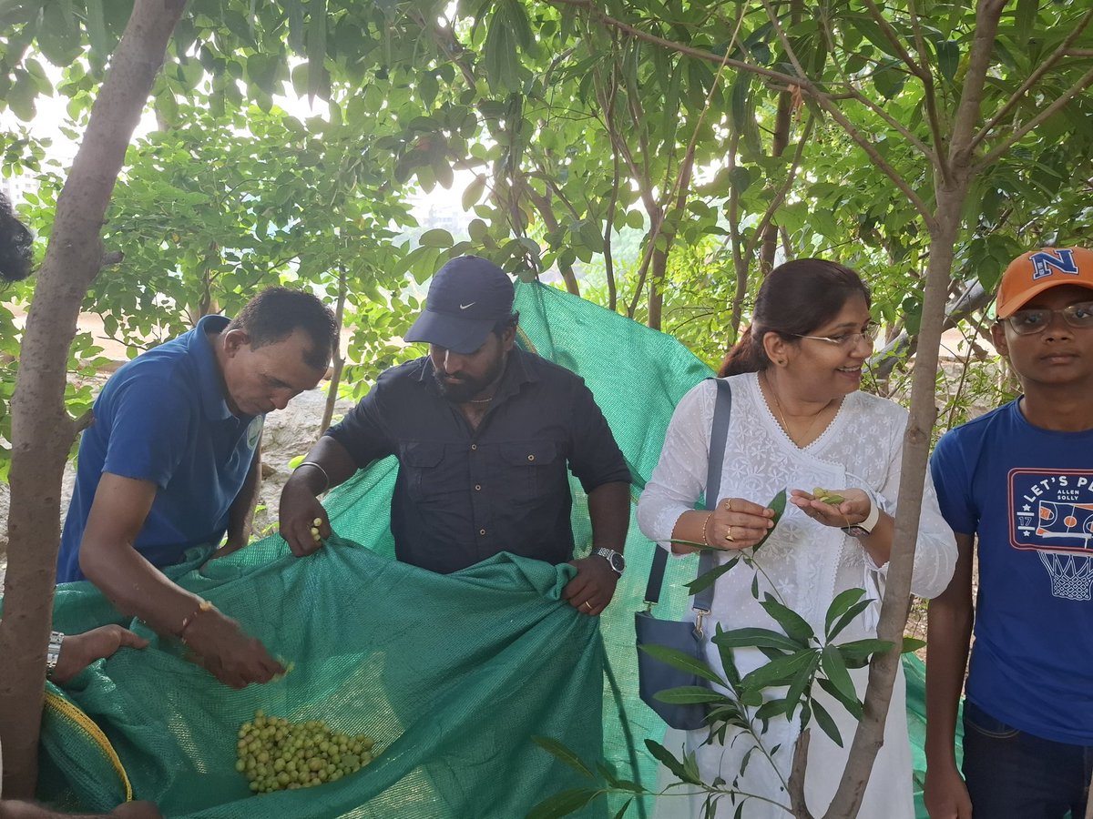 kalpana_designs's tweet photo. If lakes are clean, it can feed a neighborhood !
We absolutely enjoy creating business models to help sustain the waterbody/ Stepwells.
Involving  community at #Kudikuntalake mangopickle/mangoes/ gooseberry picking / fish. Thankyou @jayesh_ranjan @GummallaSrijana to enable such🙌 https://t.co/XYsfRPnyGp
