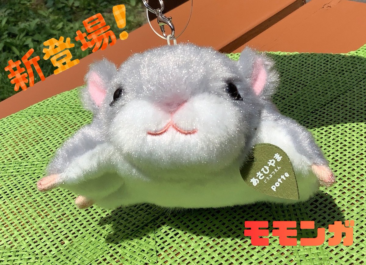 大人気✨Potteキーホルダーシリーズに新しく仲間入りした商品のご紹介