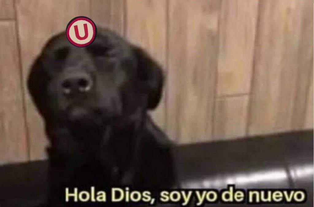 SUU11_08's tweet photo. COCO ARAUJO, UNA SOLA COSA TE PIDO. https://t.co/l5hoyZ1ZnL