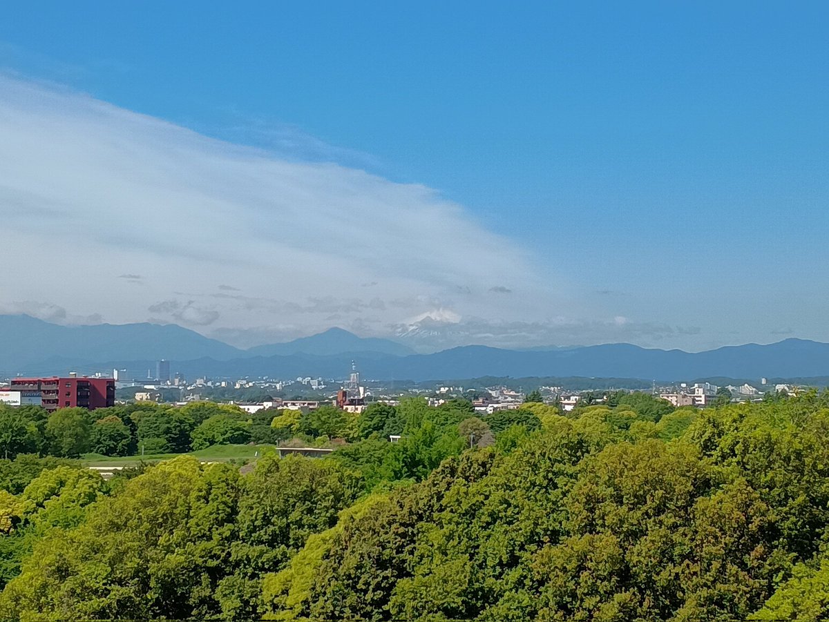多分タワマン入居以降のいろかぐは毎日眺めてる？立川からの富士山
ちょっと雲増えて7合目くらいに雲の帯がかかってきちゃってるけどこういう姿もまたいとをかしである