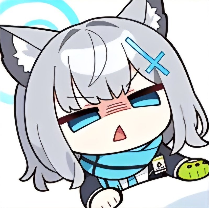 모래늑대🐺 tweet media
