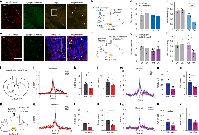 Waggoner Lab tweet media