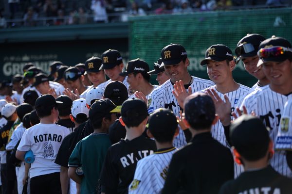 阪神タイガース tweet media