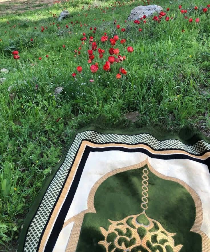 hasbihal1bz's tweet photo. Yâ Rabbi..!
Dünyanın güçlüklerini
#kalbimize kolay kıl 🤲🤎
Âmin... 🌺🌺🌺
#Huzurlu_Sabahlar https://t.co/ZG75AkEmce