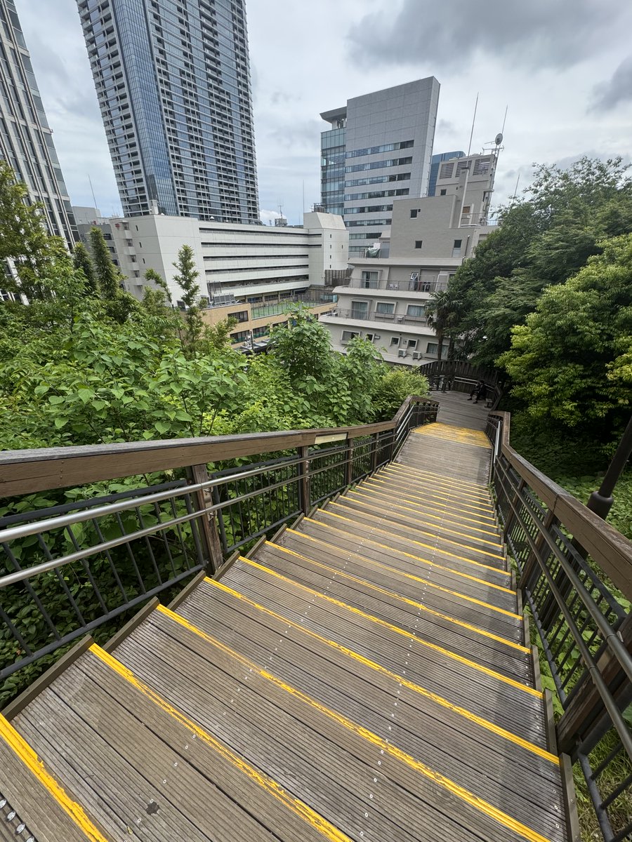 久しぶりの亀塚公園階段調教。
ここも長いから走って登るきるのは中々しんどい　
ここ走りきれない人は見下します😎