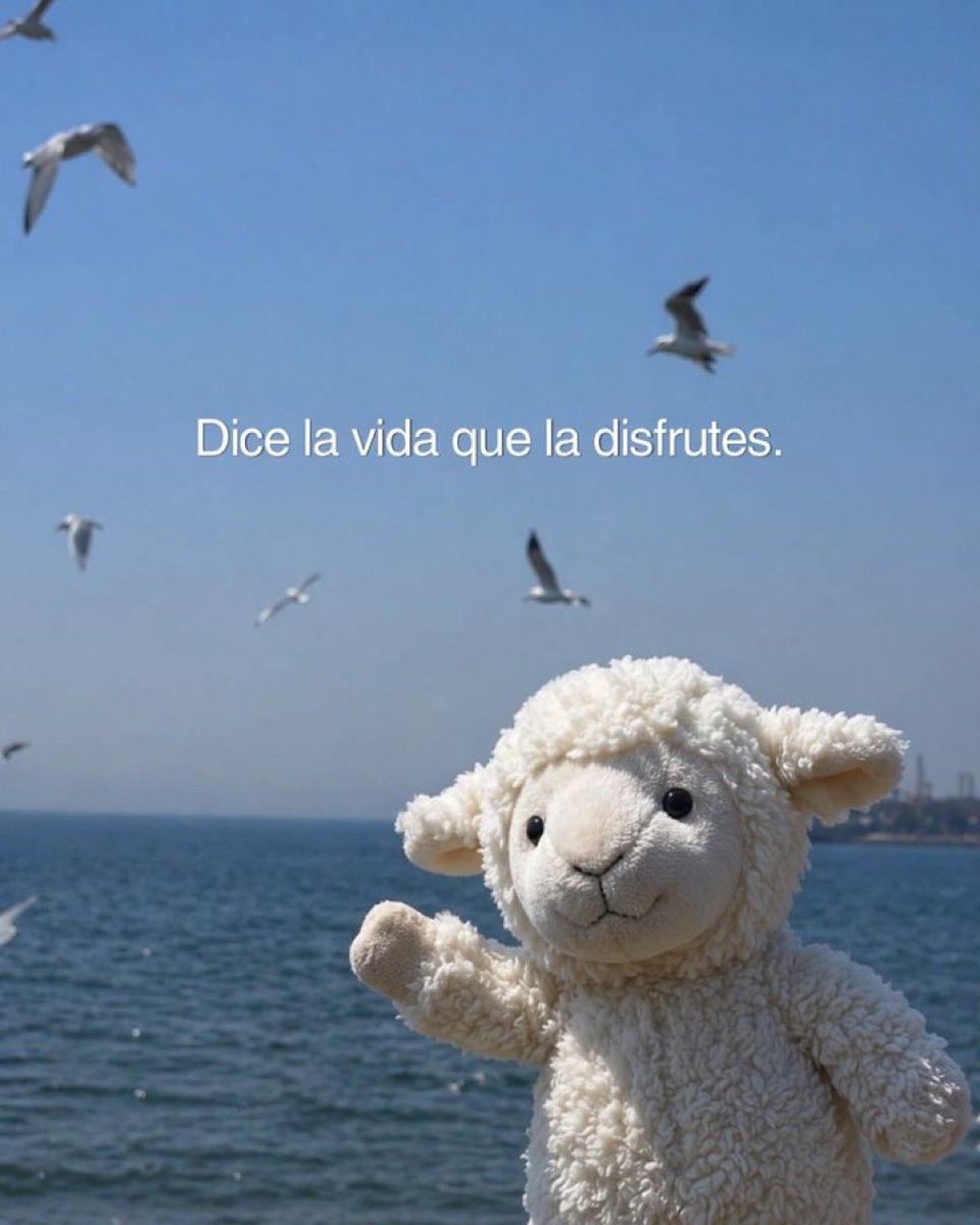🌙 mini textos (@soyminitextos) on Twitter photo 
