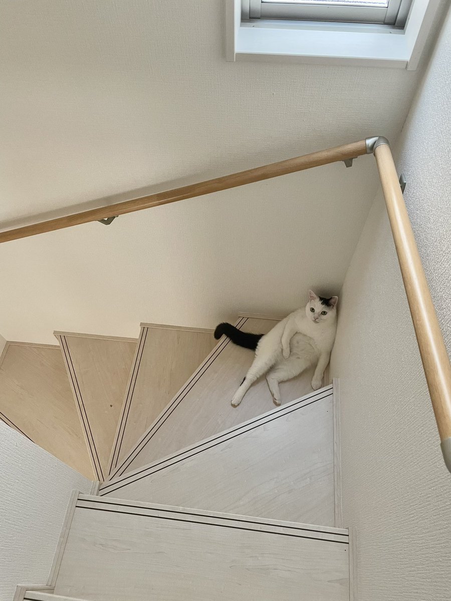 久々の仕事は体力もたないね