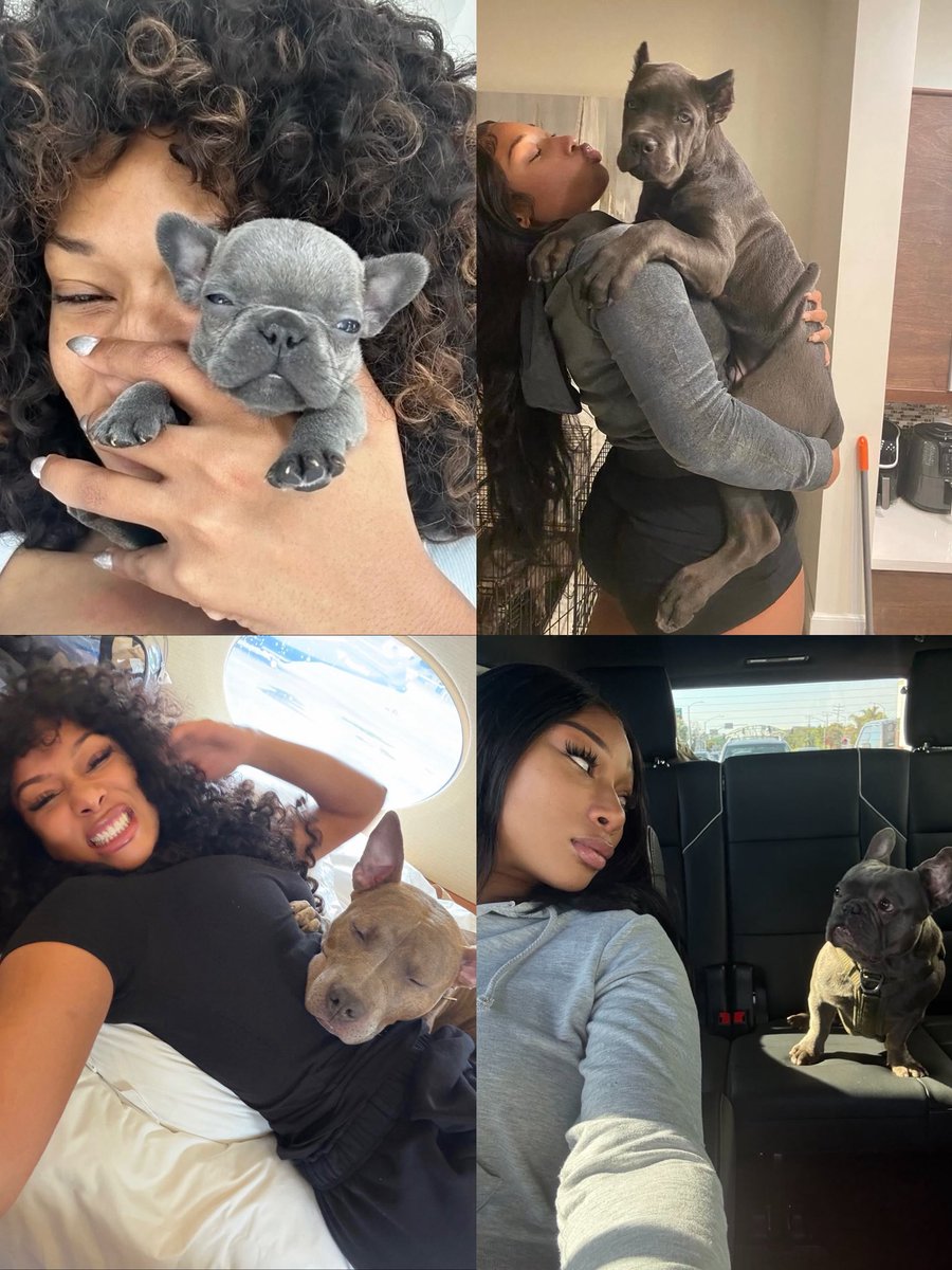 doggy mom