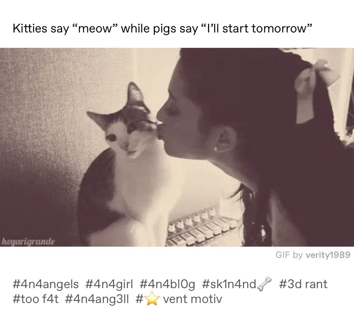 nielle ♱ tweet media