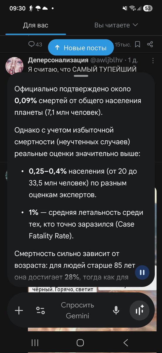 Слезинка божьей матери tweet media