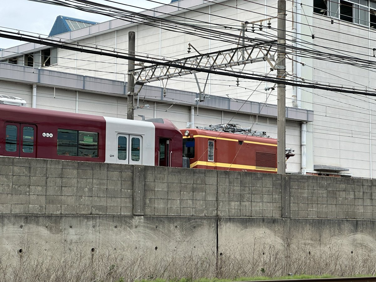 アラサーこどおじ tweet media