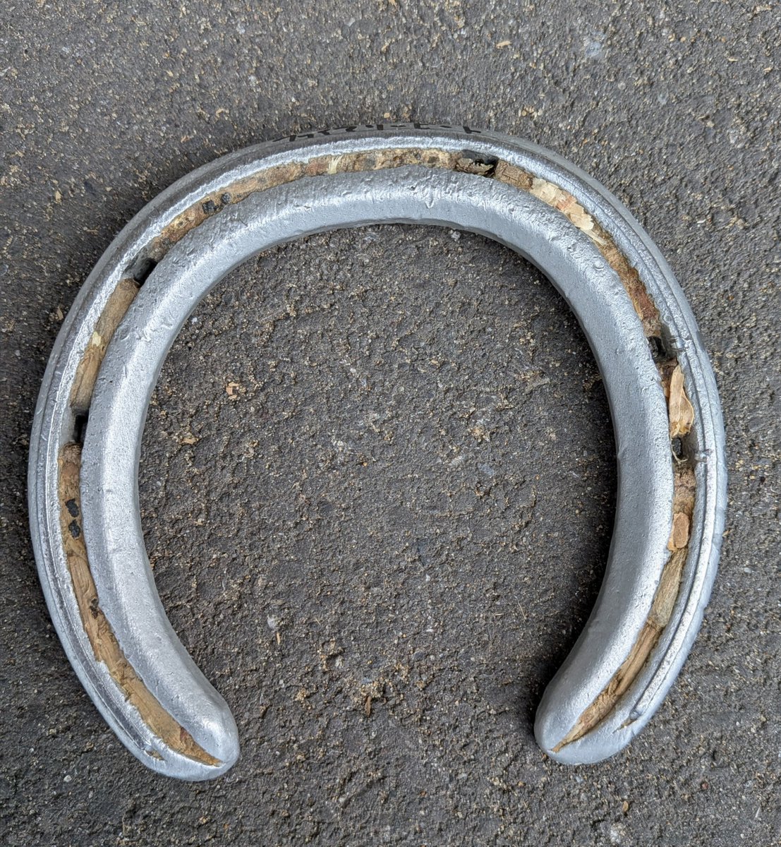 _suzukistable's tweet photo. 皆様はどれぐらい蹄鉄に興味があるでしょうか

写真はごくノーマルな兼用蹄鉄と呼ばれるもので競走馬ではだいたい3〜4週間で新しいものに打ち替えます。
基本的に蹄鉄は馬の蹄に釘で装着しますがガッチリと着いているわけではなく負重に合わせ蹄鉄の上で蹄が踵を中心にわずかですがゴムの様に伸縮しています。なので蹄と蹄鉄の接地面は削れていきます（4枚目）この動きは衝撃吸収や抹消血流の循環向上などに役立っています。
裏面と併せて表面のすり減り方や蹄の形などを見て装蹄師さんは蹄を削り、鉄の形を1頭1頭叩いて合わせていきます。時には特殊な形状の蹄鉄で痛み軽減や歩様改善を図ったりもします。
凄い仕事です。

#蹄なくして馬なし