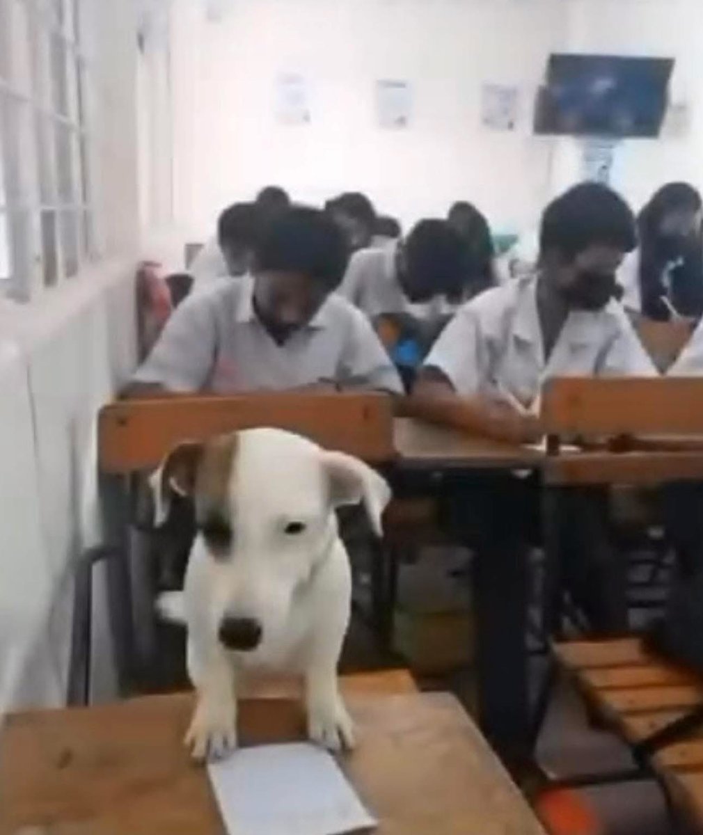 Yo en el ENARM pensando que habrán hecho de comer en mi casa